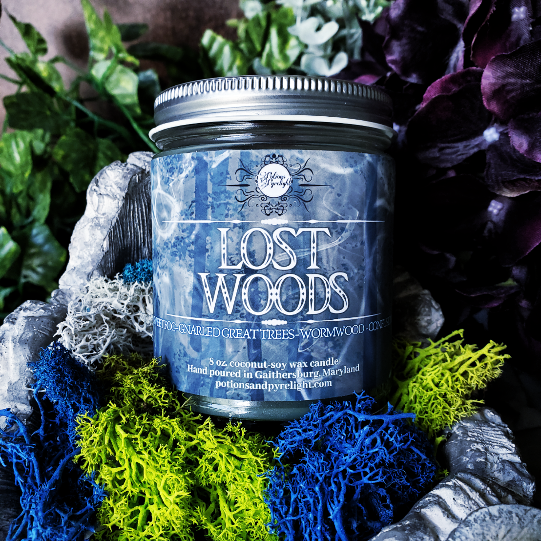 The Legend of Zelda - Lost Woods