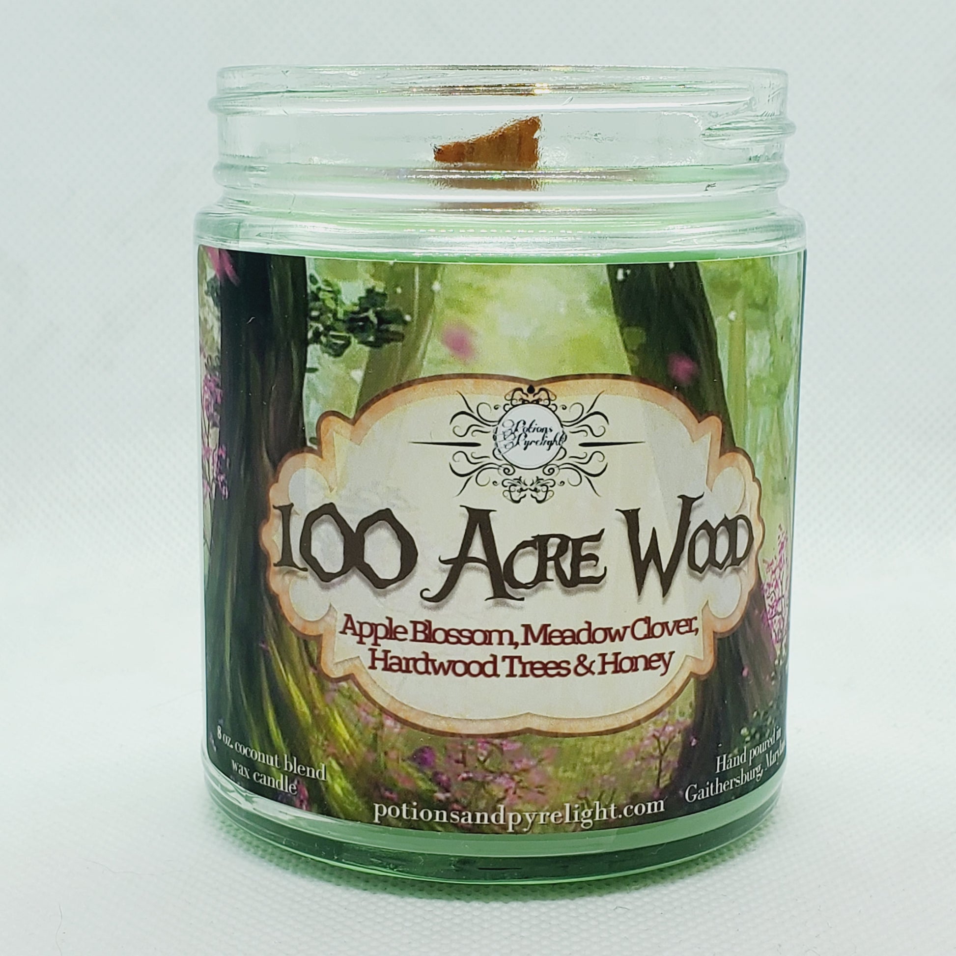 Kingdom Hearts - 100 Acre Wood - Potions & Pyrelight