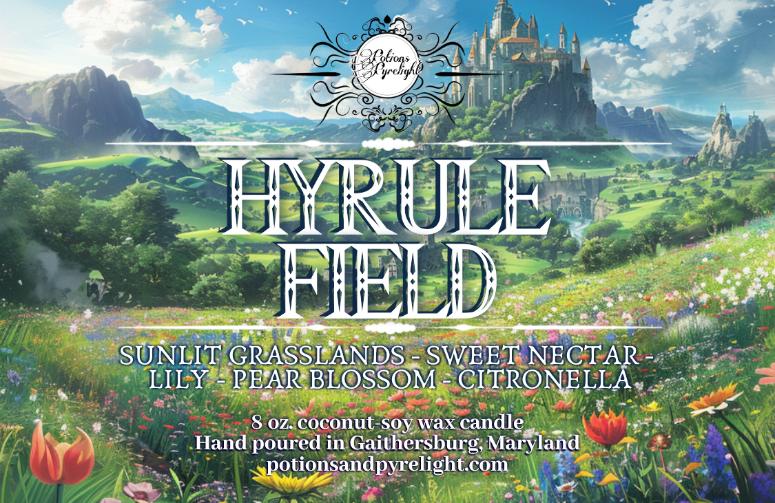 The Legend of Zelda - Hyrule Field