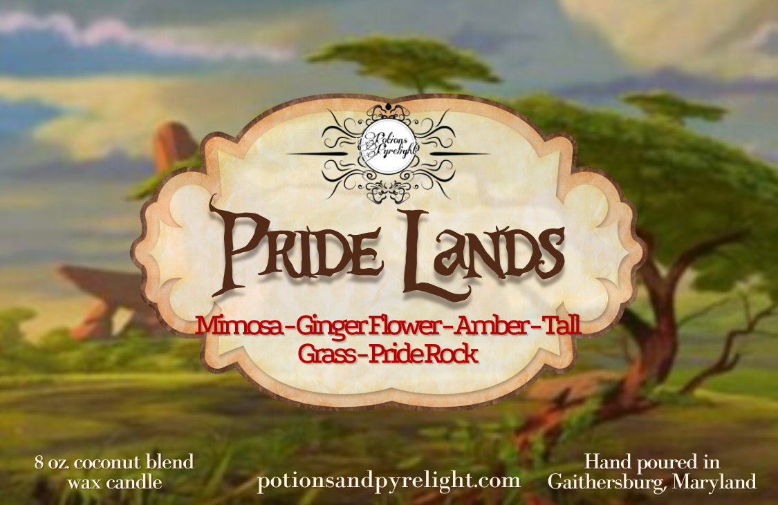 Kingdom Hearts - Pride Lands - Potions & Pyrelight